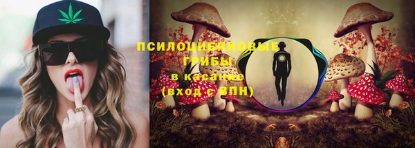 стаф Пересвет
