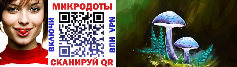 Галлюциногенные грибы мухоморы Зуевка