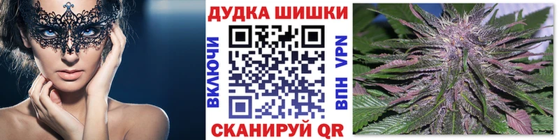 Бошки марихуана индика  где купить наркоту  Зуевка 